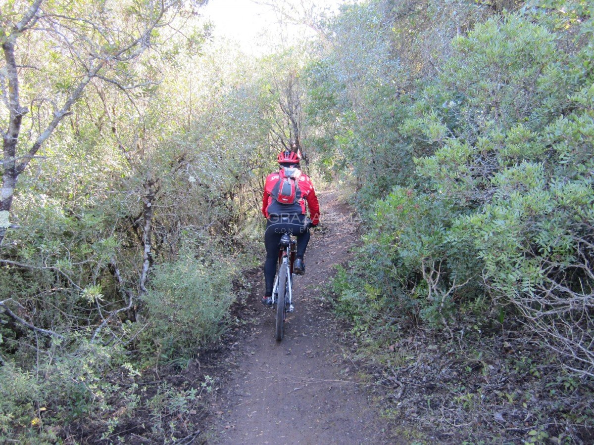 Ruta en bici en Algodonales-El Bosque Imagen