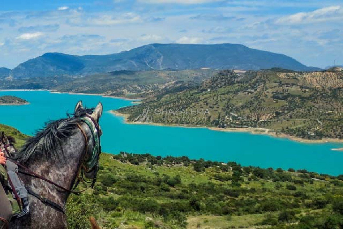 Rutas a caballo en la Sierra de Grazalema Imagen