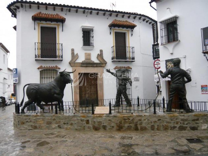 Monumento al Toro de Cuerda Imagen