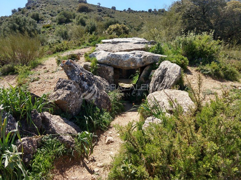 Dolmen del Gigante Imagen