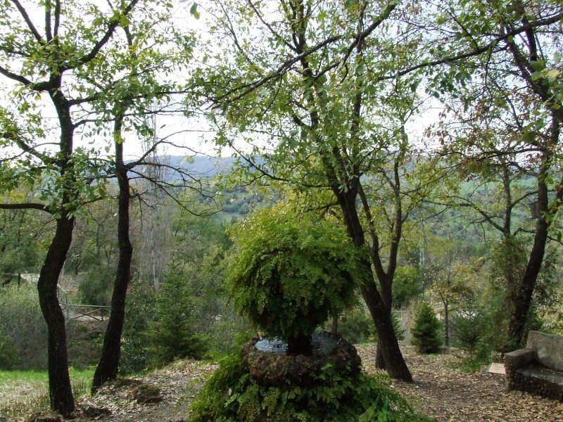 Jardín Botánico El Castillejo Imagen