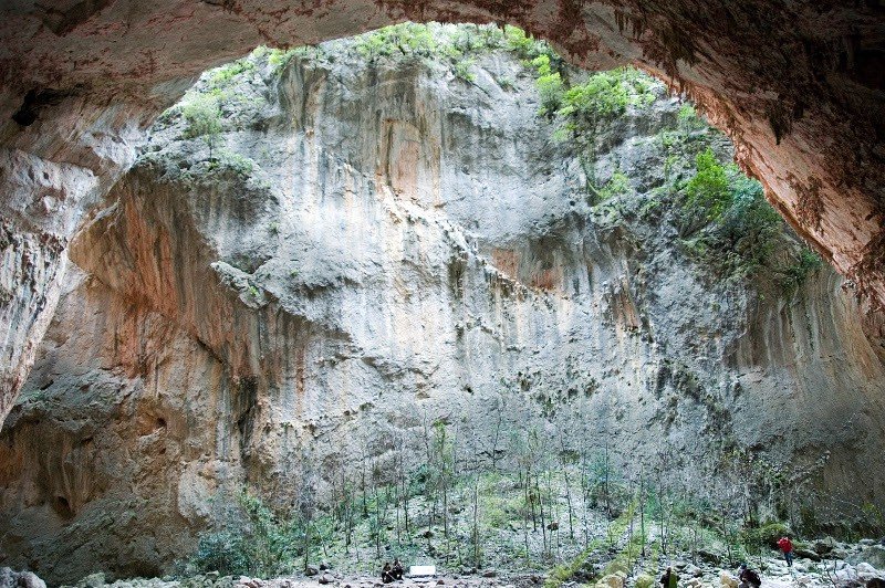 La Garganta Verde Imagen