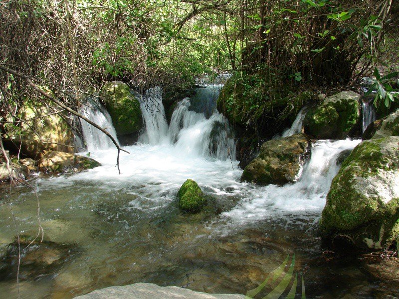 Rio majaceite, el bosque, cádiz, espanha